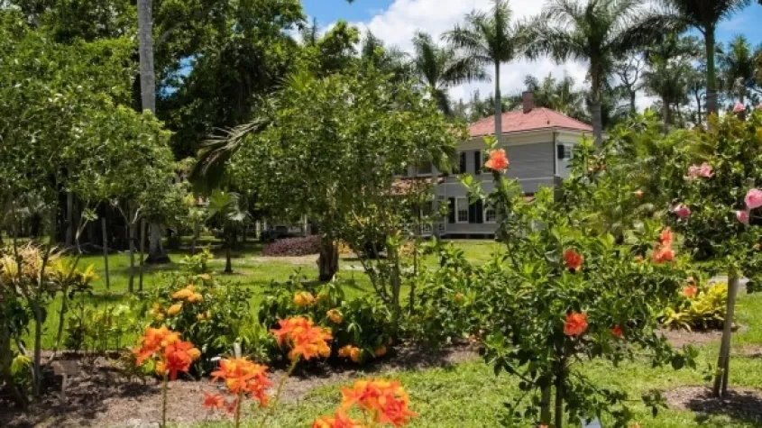 This programs gives you all the resources and background to get growing in Florida landscapes. 