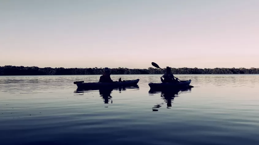 Kayakers