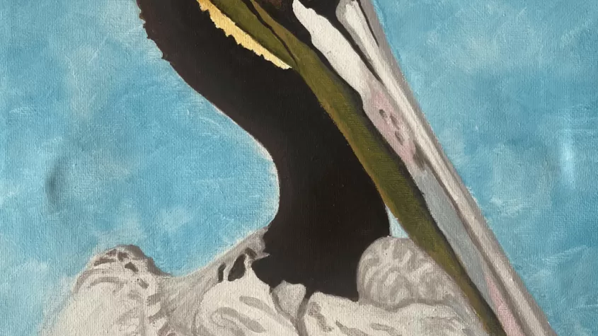 acrylic painting of a pelican