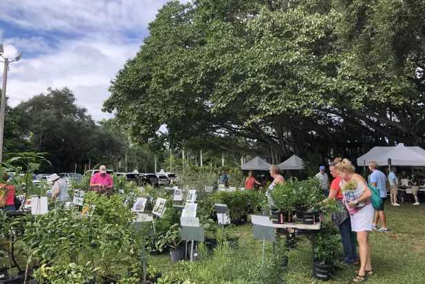 Consider a whole new spread of plants and lots of new unique ideas for your garden at the Garden Festival. 
