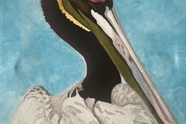 acrylic painting of a pelican
