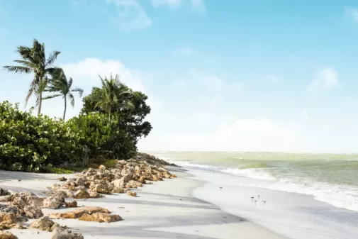 Beach scene