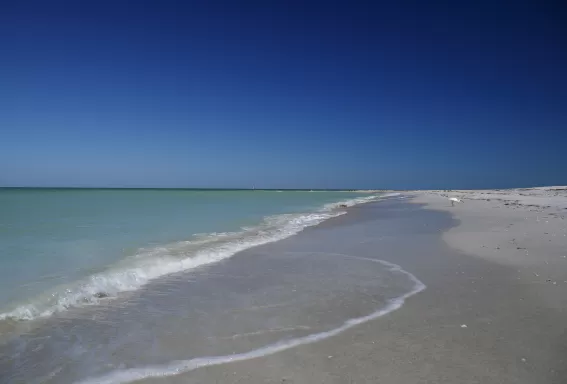 Beach at Cayo Costa State Park