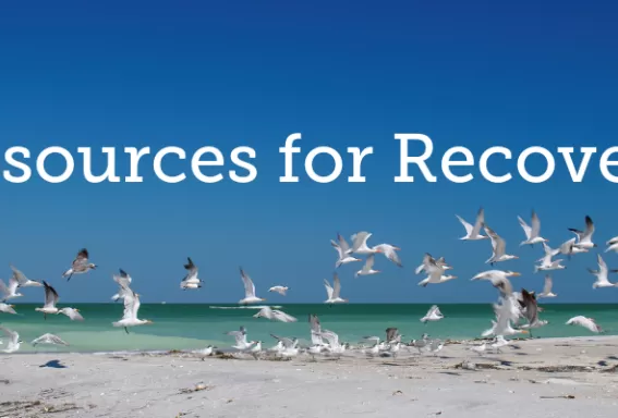 Resources for Recovery