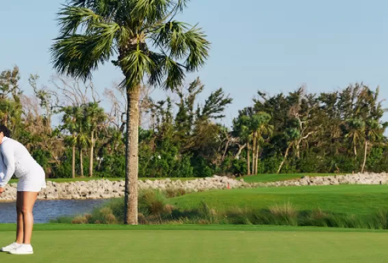 A couple golfs in the putting green