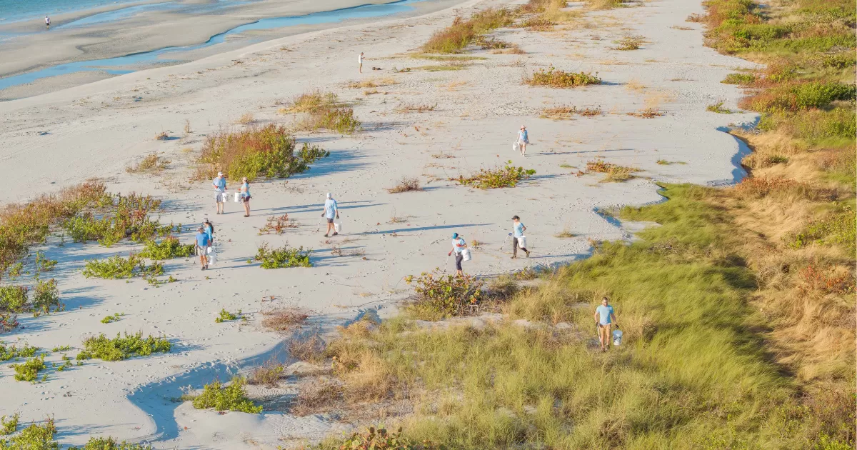 Picking up the beach